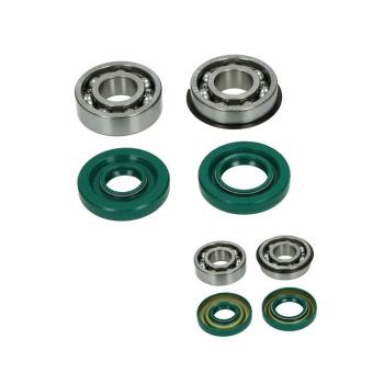 Kurbelwellenlager und Wellendichtringsatz Altes Modell